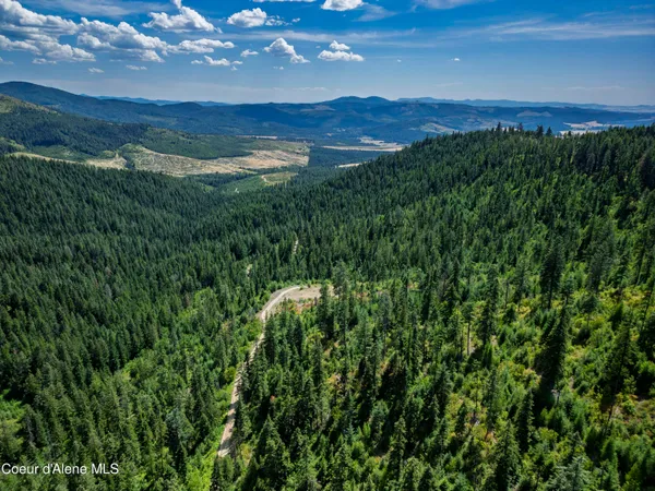 $236,580 | Nna Indian Creek Road, St. Maries, ID 83861