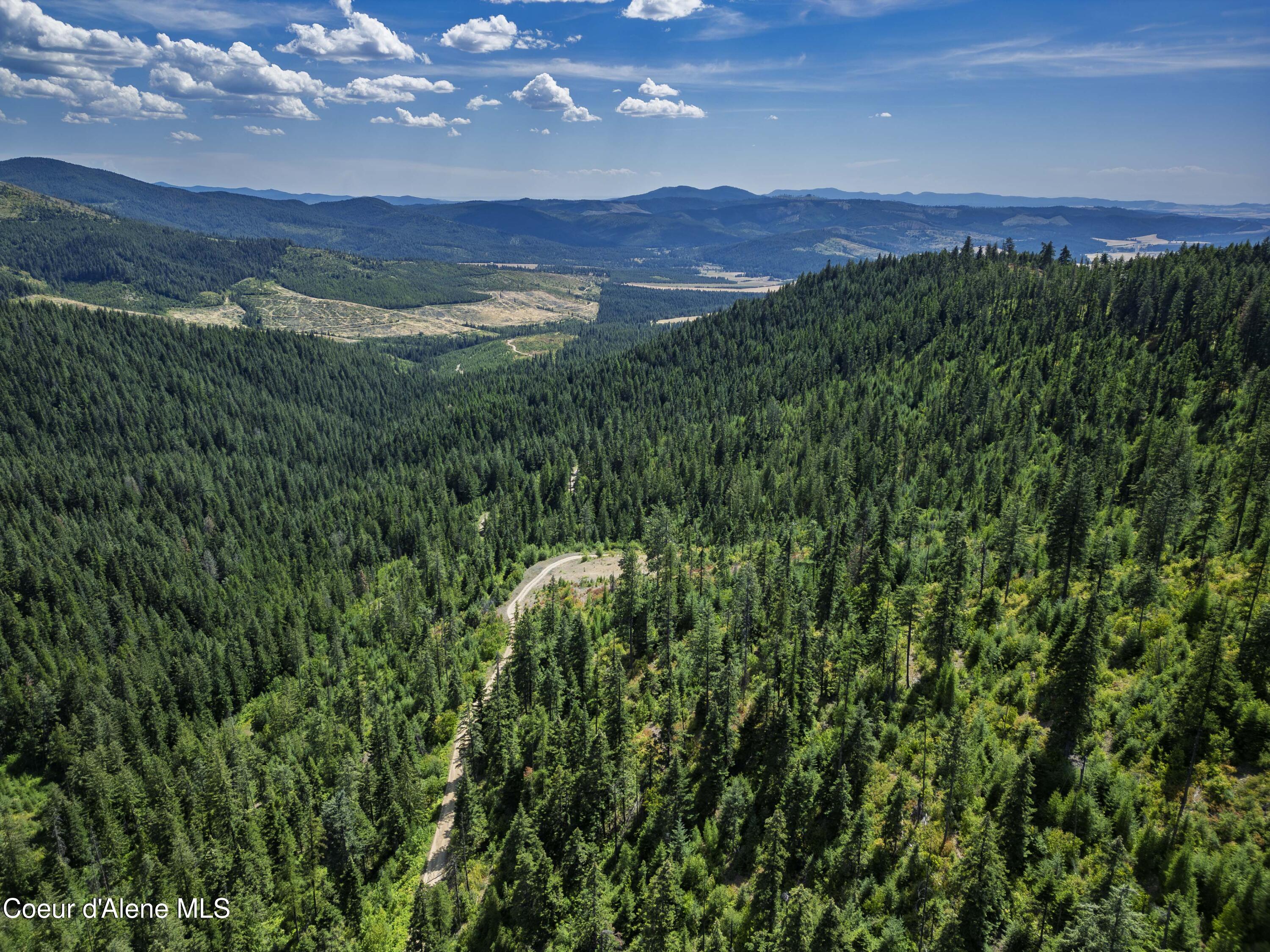 Nna Indian Creek Road St. Maries, ID 83861 - Photo 13 of 40 Hendricks - Sanders0008Compressed