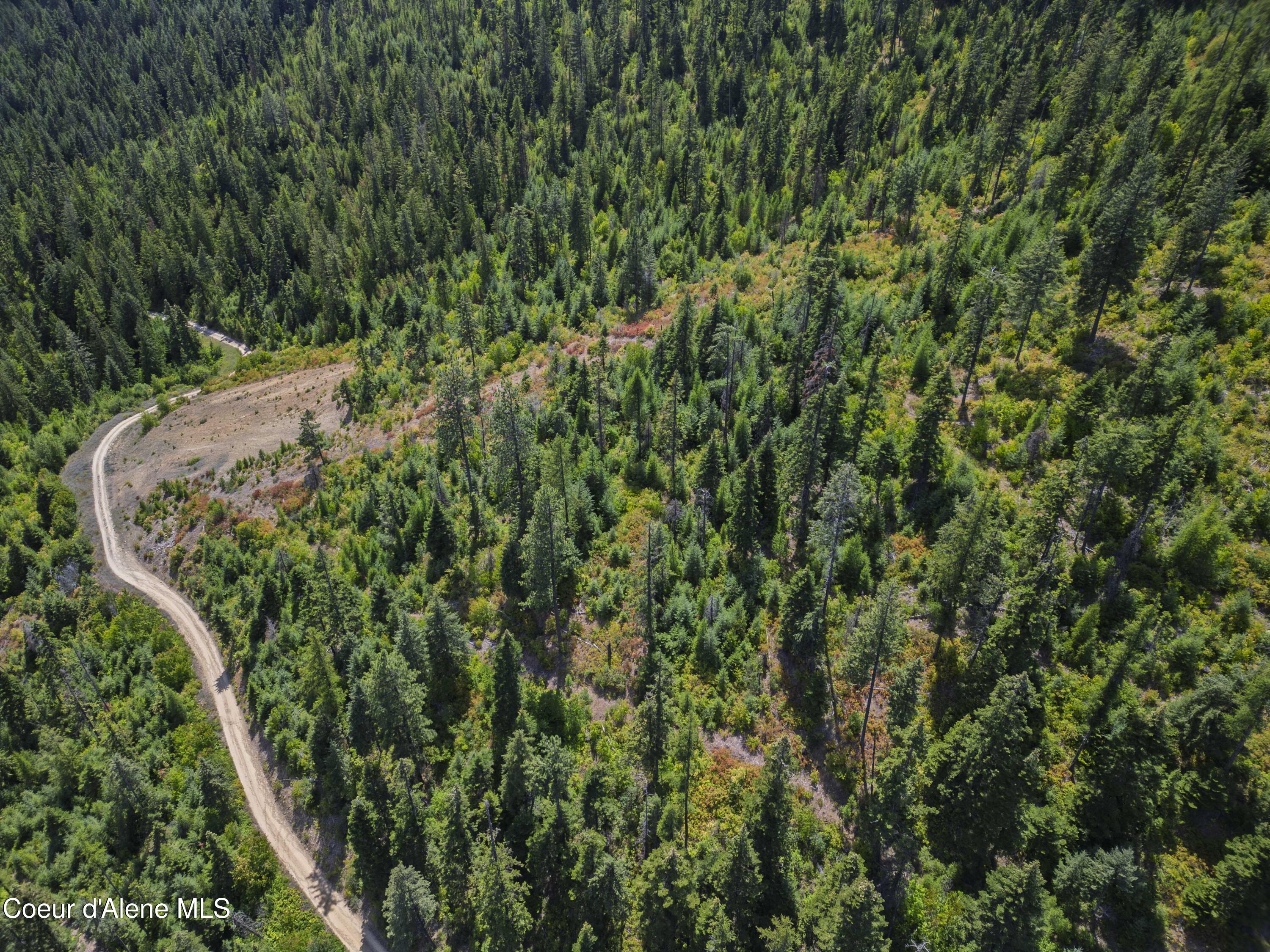 Nna Indian Creek Road St. Maries, ID 83861 - Photo 14 of 40 Hendricks - Sanders0009Compressed