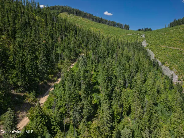 $236,580 | Nna Indian Creek Road, St. Maries, ID 83861