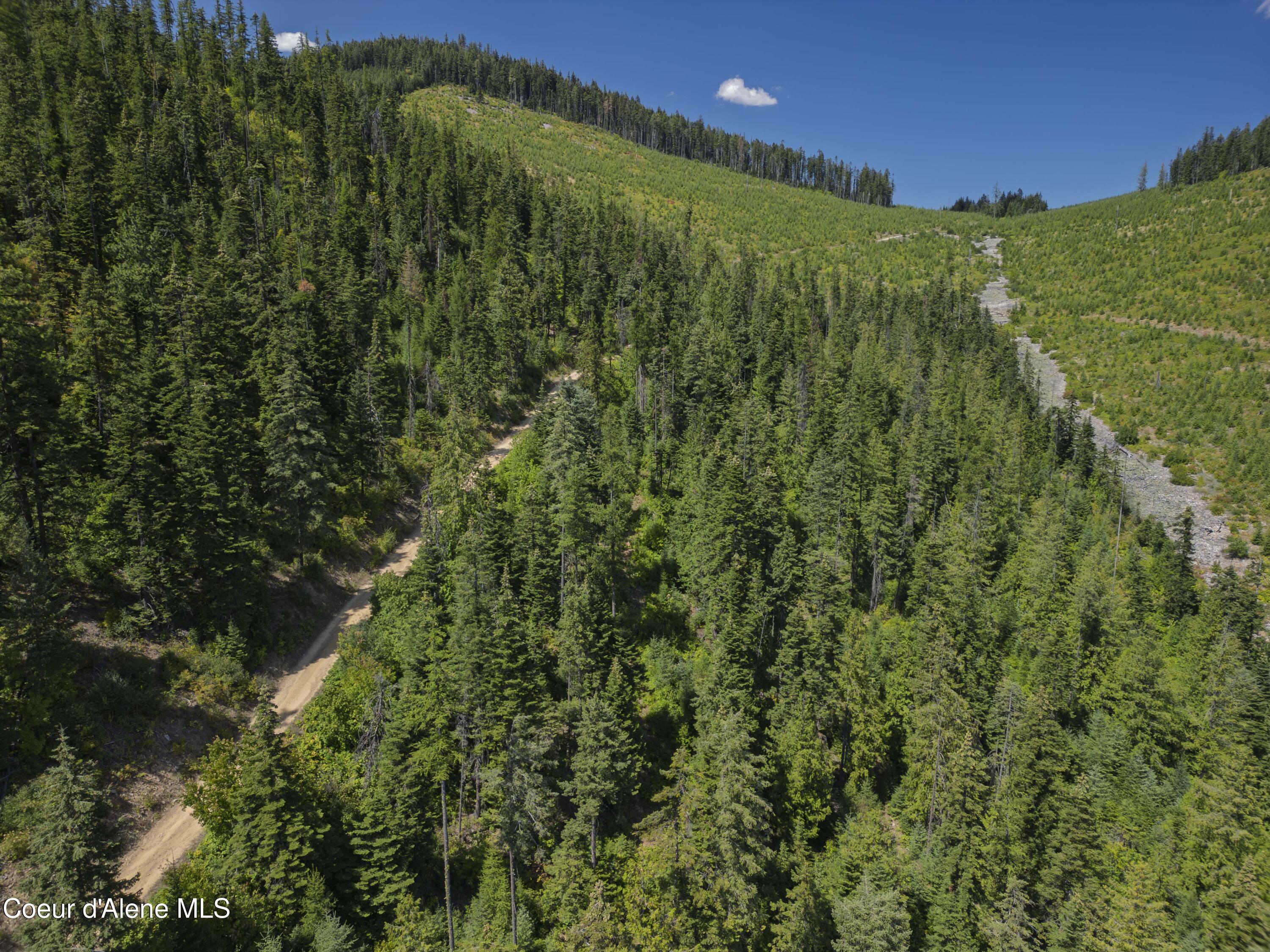 Nna Indian Creek Road St. Maries, ID 83861 - Photo 17 of 40 Hendricks - Sanders0012Compressed