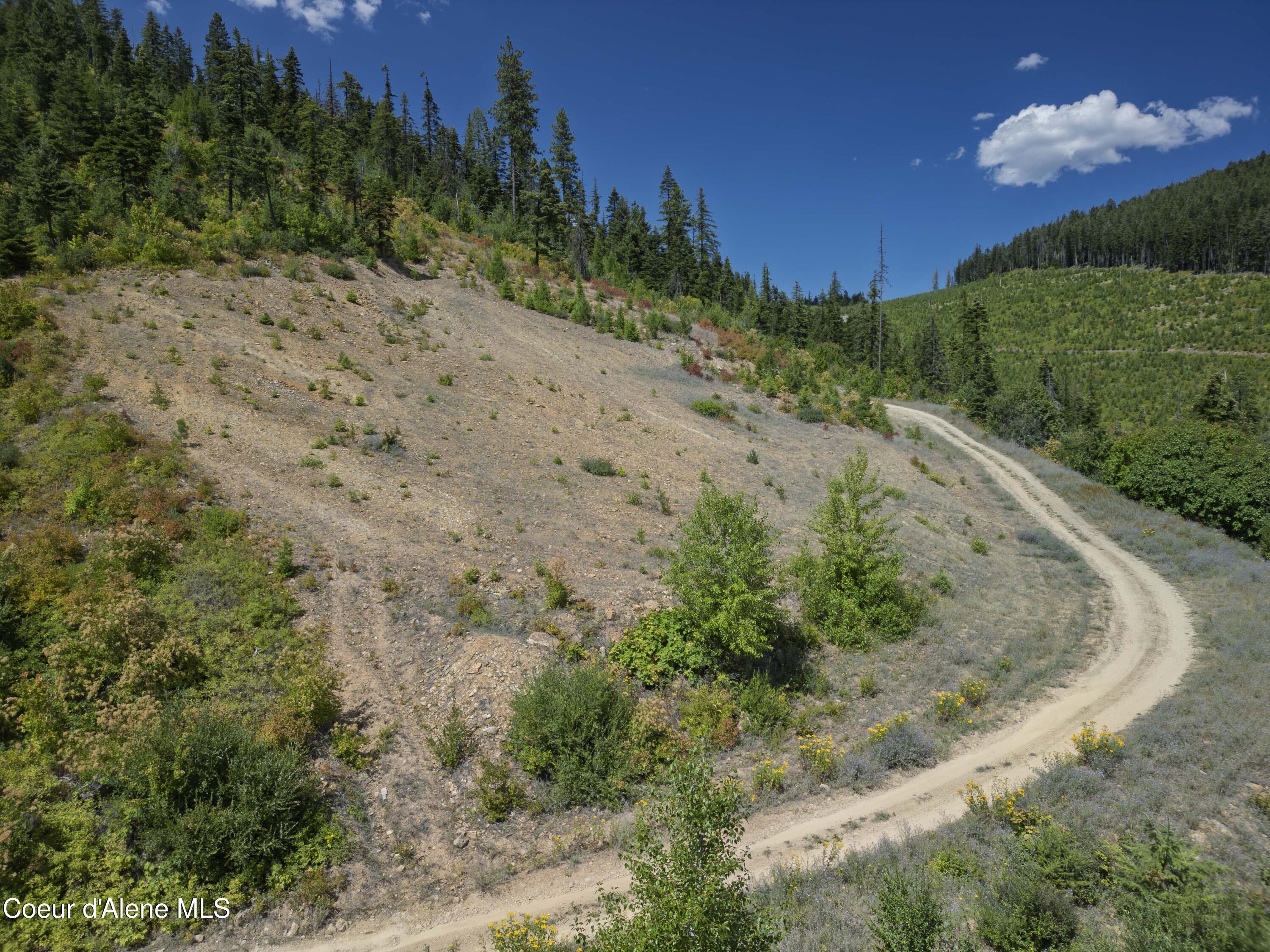 Nna Indian Creek Road St. Maries, ID 83861 - Photo 20 of 40 Hendricks - Sanders0015Compressed