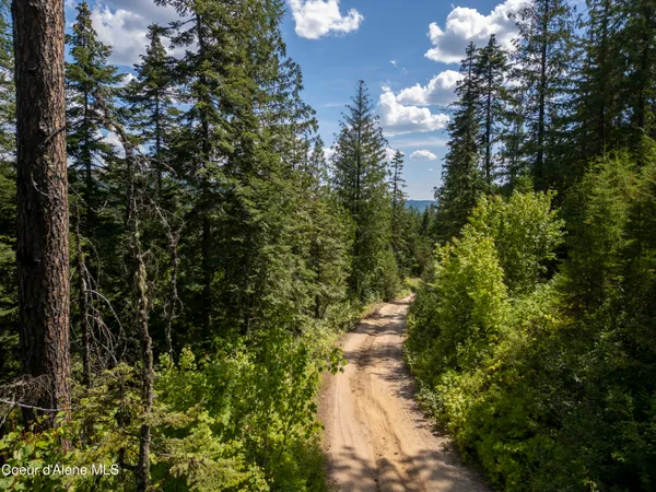 $236,580 | Nna Indian Creek Road, St. Maries, ID 83861