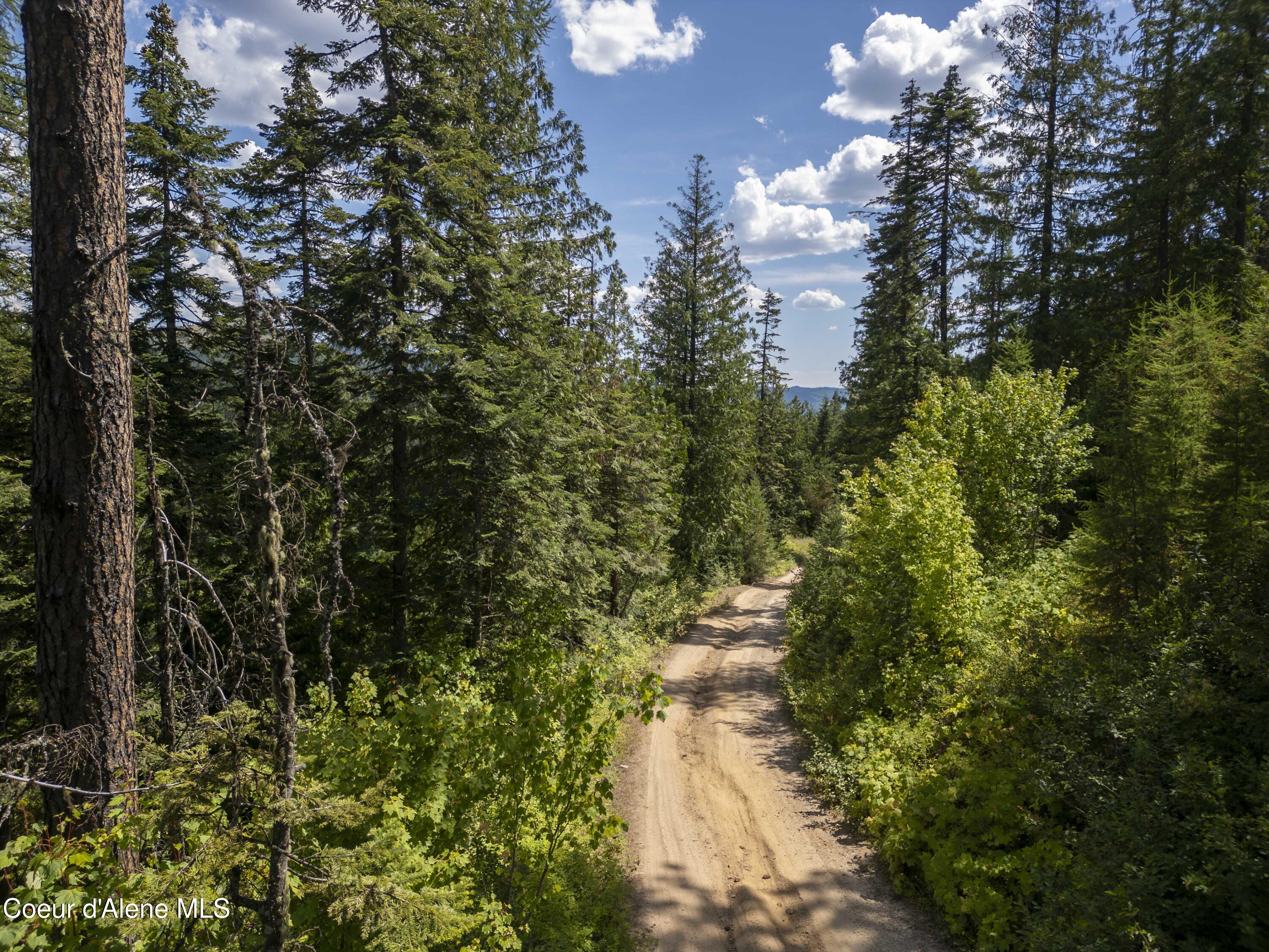 Nna Indian Creek Road St. Maries, ID 83861 - Photo 2 of 40 Hendricks - Sanders0023Compressed