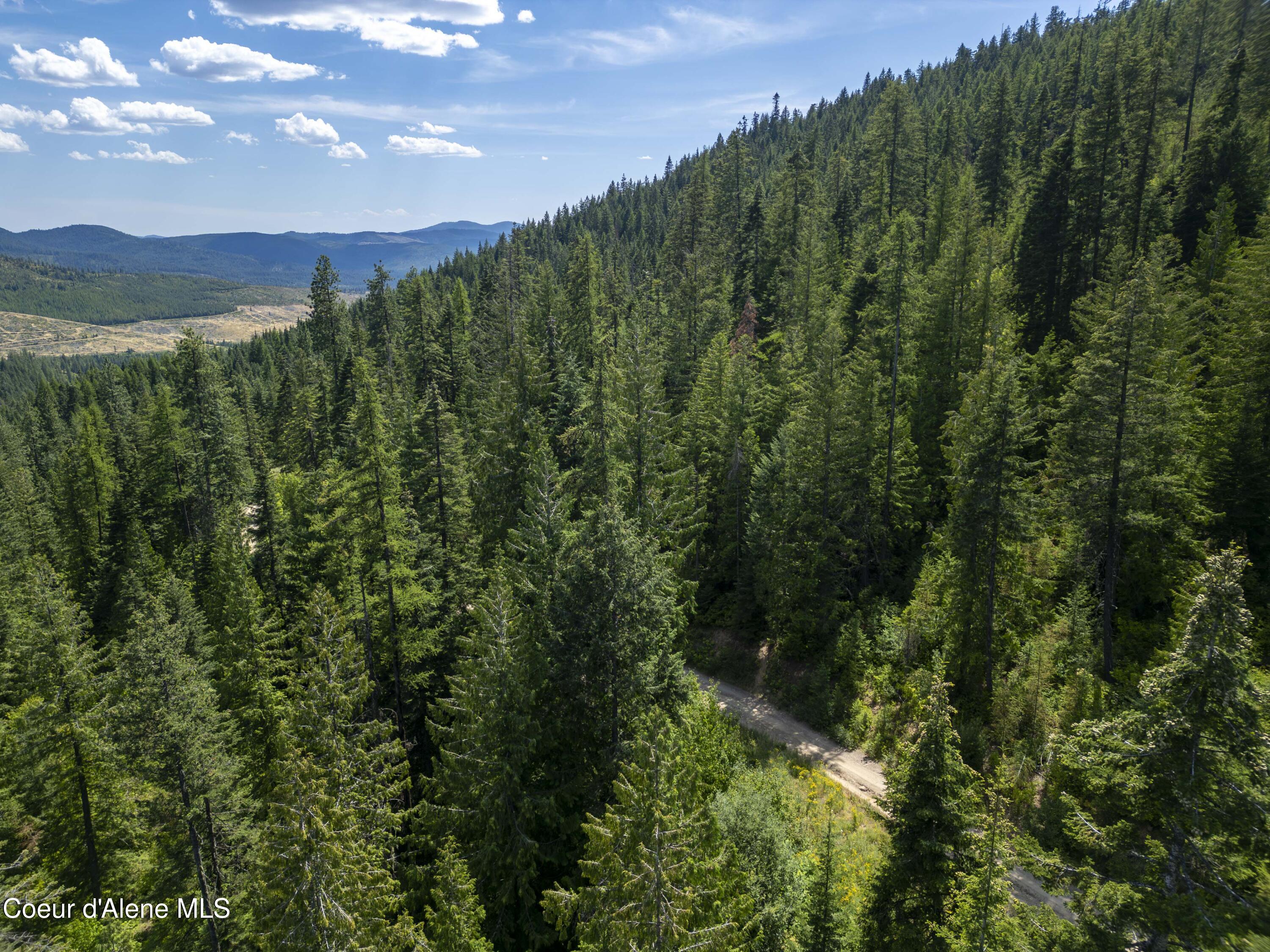 Nna Indian Creek Road St. Maries, ID 83861 - Photo 21 of 40 Hendricks - Sanders0016Compressed