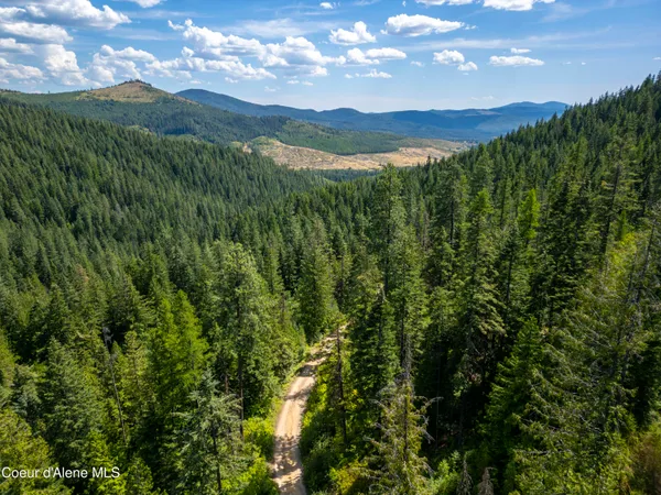 $236,580 | Nna Indian Creek Road, St. Maries, ID 83861