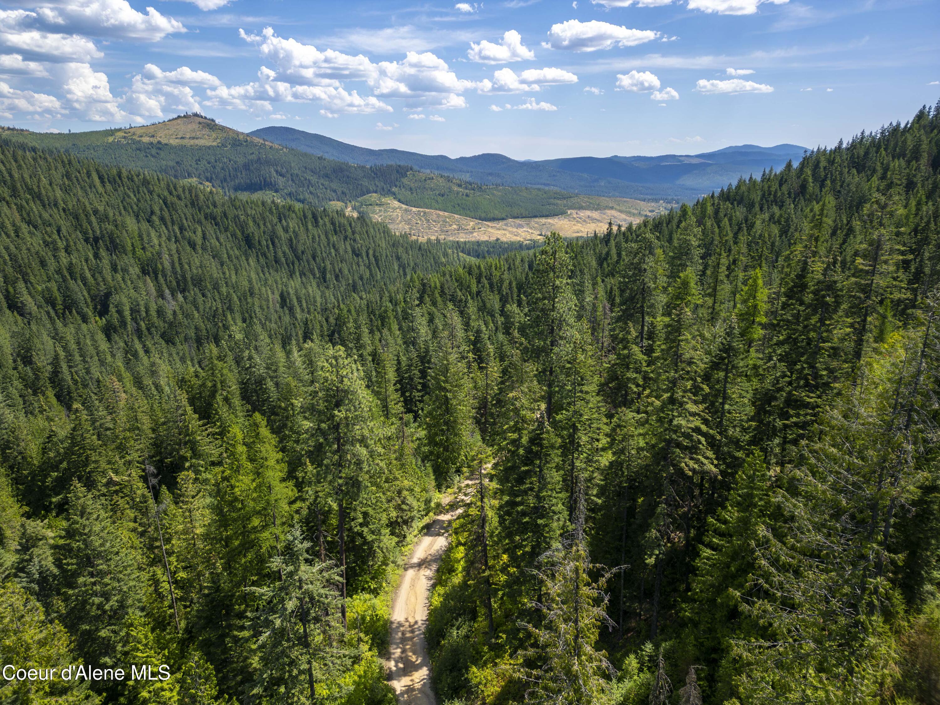 Nna Indian Creek Road St. Maries, ID 83861 - Photo 22 of 40 Hendricks - Sanders0017Compressed