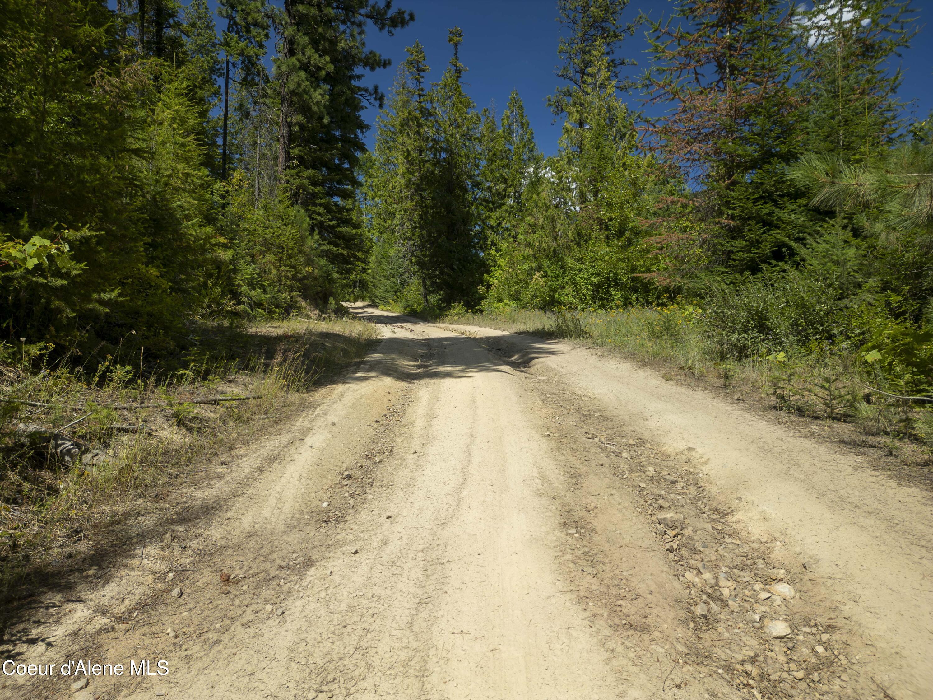 Nna Indian Creek Road St. Maries, ID 83861 - Photo 24 of 40 Hendricks - Sanders0020Compressed