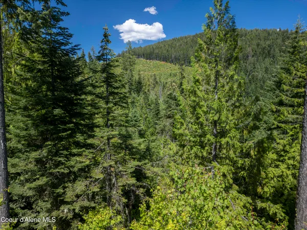 $236,580 | Nna Indian Creek Road, St. Maries, ID 83861