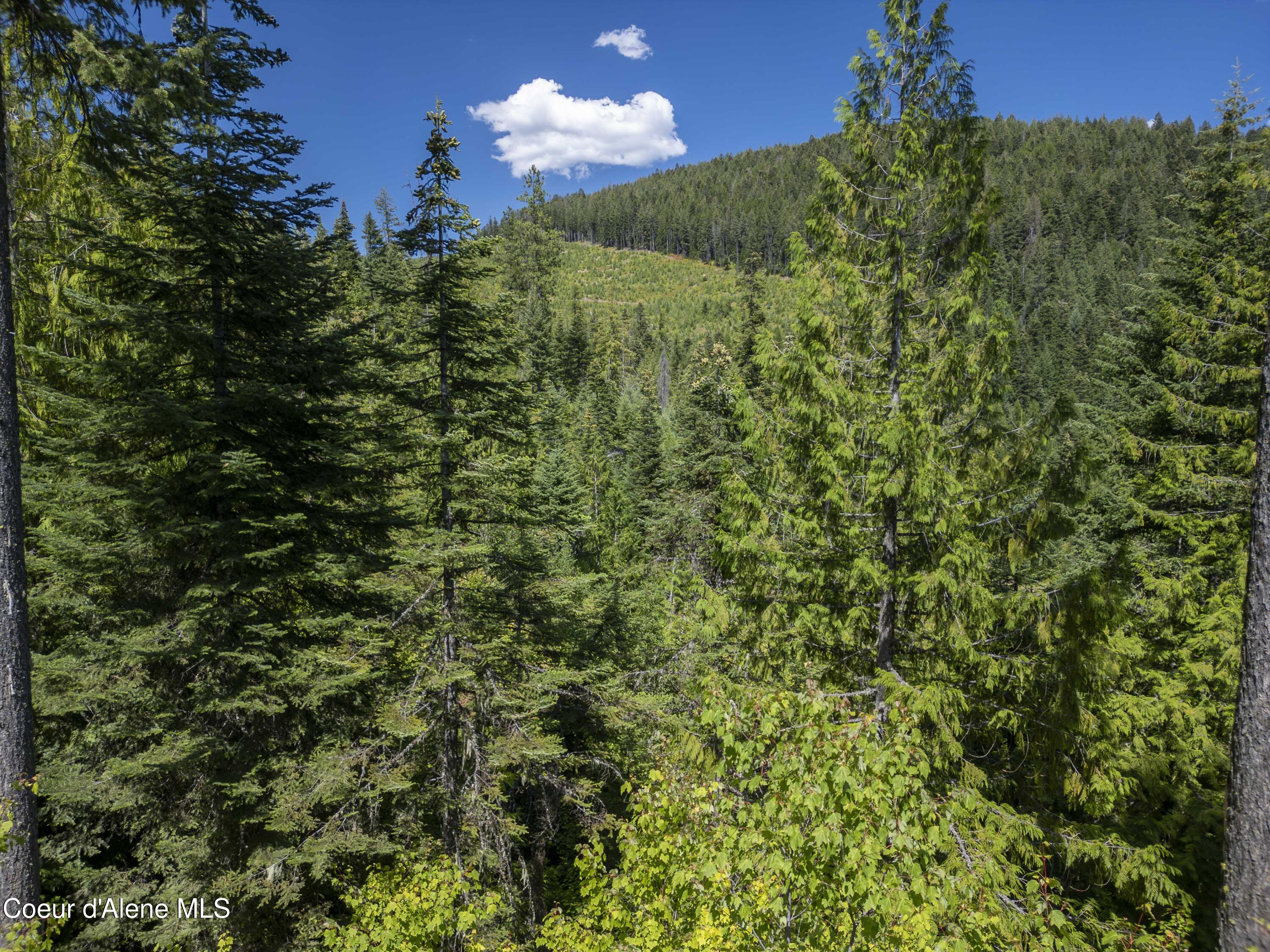 Nna Indian Creek Road St. Maries, ID 83861 - Photo 26 of 40 Hendricks - Sanders0022Compressed
