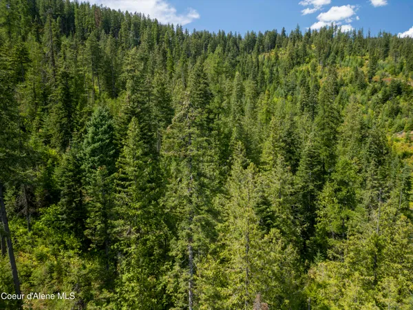 $236,580 | Nna Indian Creek Road, St. Maries, ID 83861
