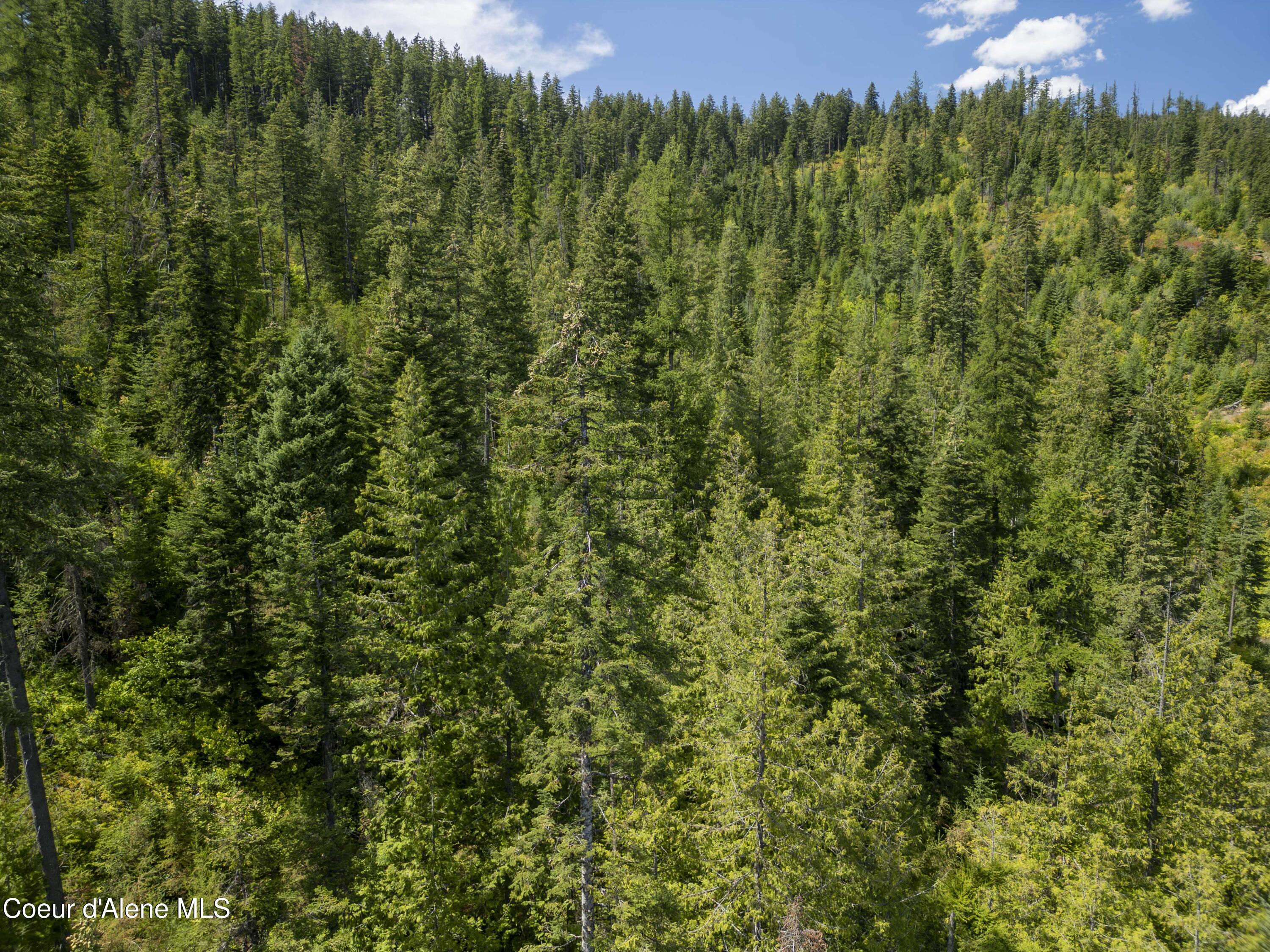 Nna Indian Creek Road St. Maries, ID 83861 - Photo 27 of 40 Hendricks - Sanders0024Compressed