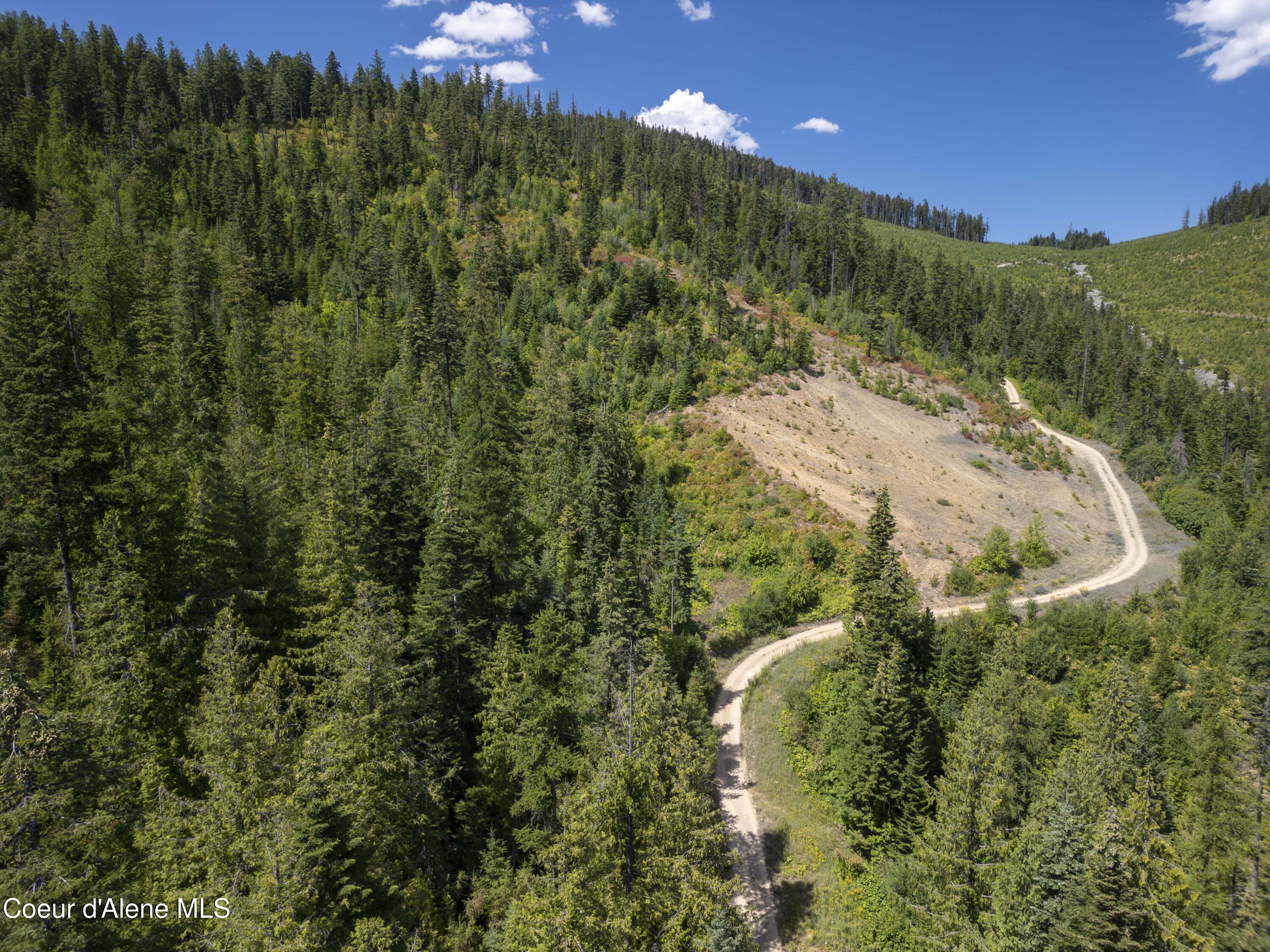 Nna Indian Creek Road St. Maries, ID 83861 - Photo 28 of 40 Hendricks - Sanders0025Compressed
