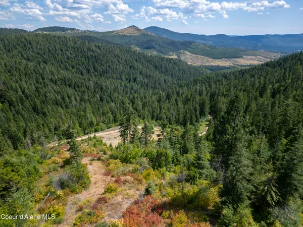 $236,580 | Nna Indian Creek Road, St. Maries, ID 83861