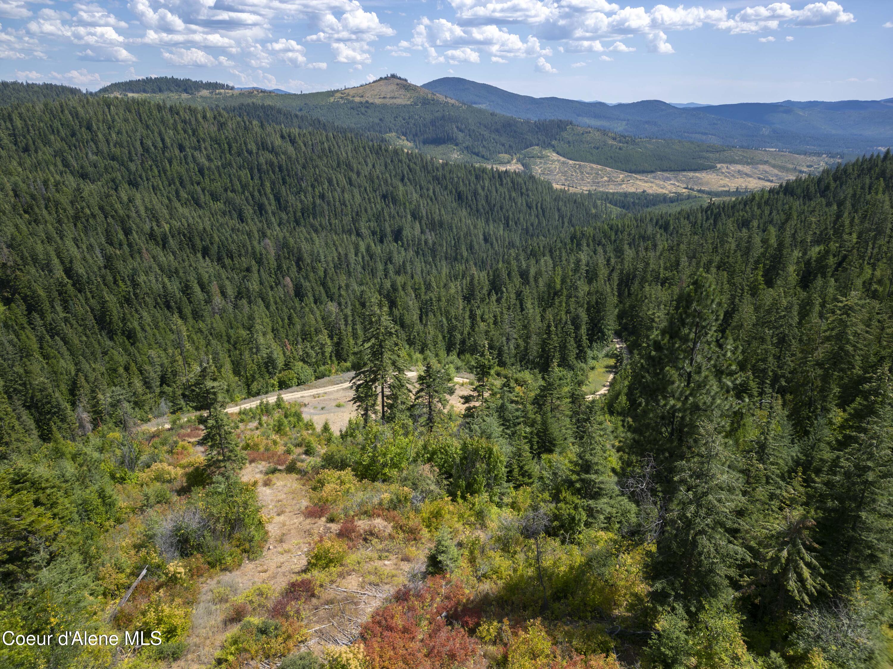 Nna Indian Creek Road St. Maries, ID 83861 - Photo 31 of 40 Hendricks - Sanders0028Compressed