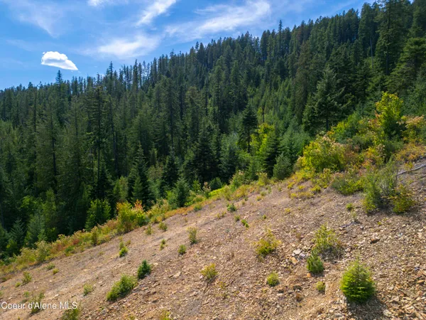 $236,580 | Nna Indian Creek Road, St. Maries, ID 83861