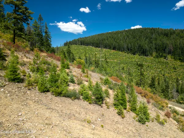 $236,580 | Nna Indian Creek Road, St. Maries, ID 83861