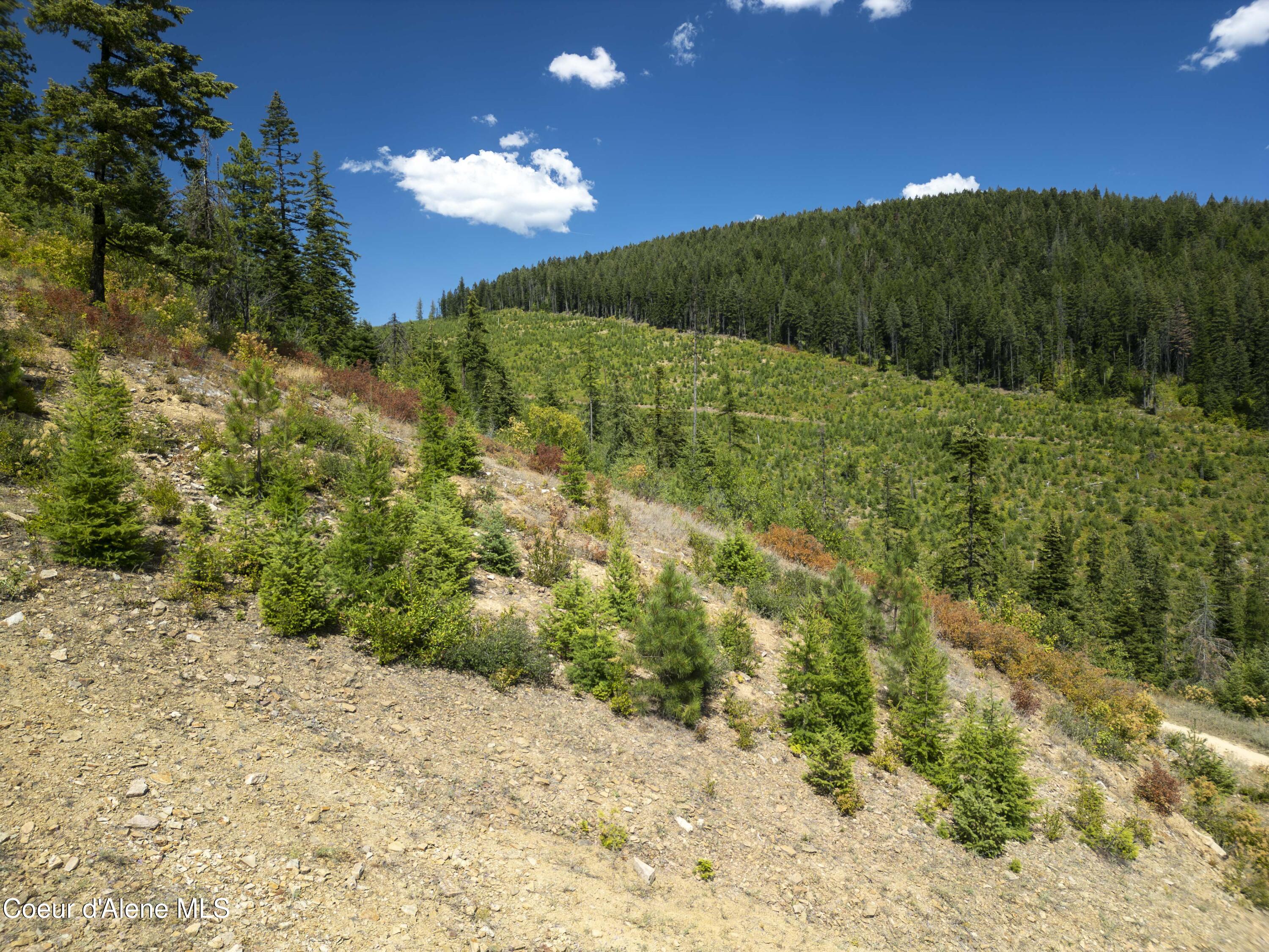 Nna Indian Creek Road St. Maries, ID 83861 - Photo 35 of 40 Hendricks - Sanders0032Compressed