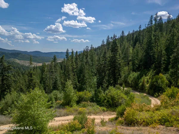 $236,580 | Nna Indian Creek Road, St. Maries, ID 83861