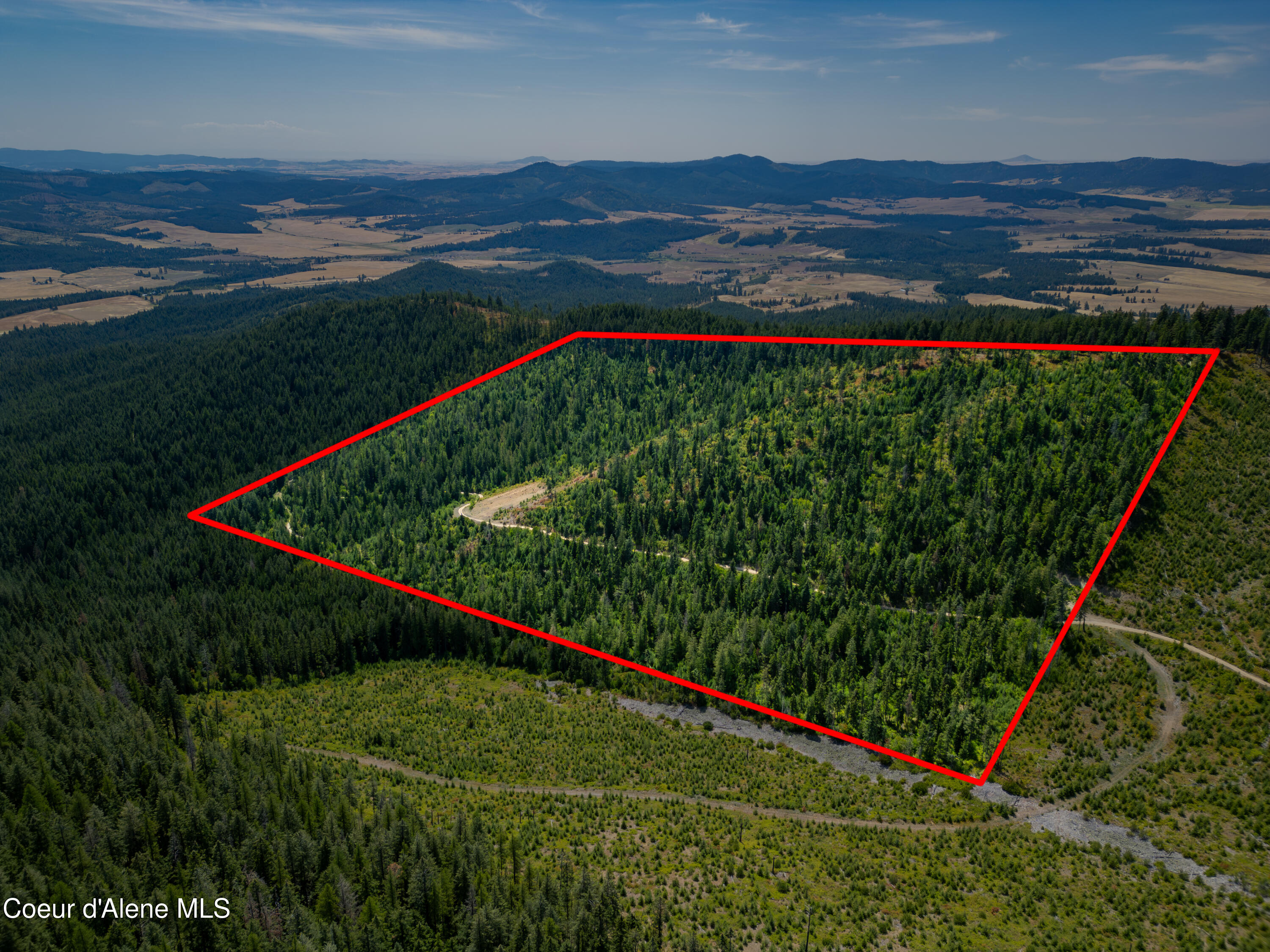 Nna Indian Creek Road St. Maries, ID 83861 - Photo 4 of 40 Hendricks - SandersOutlinedCompressed04