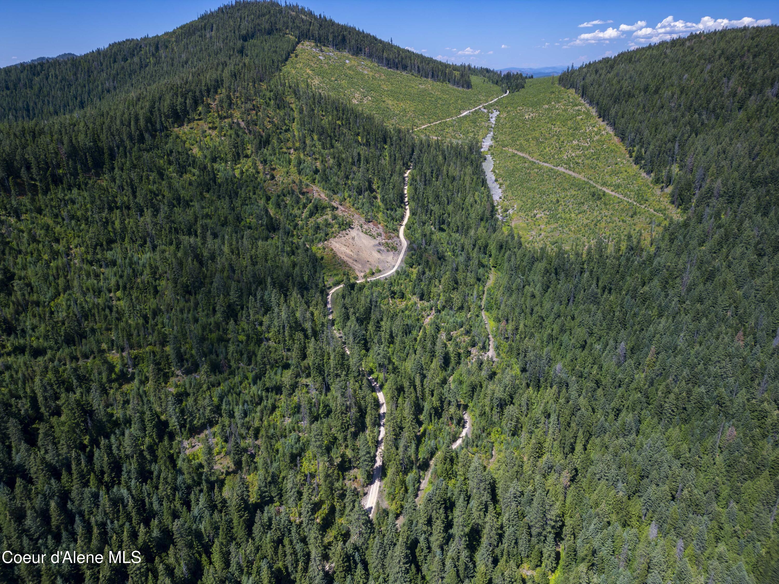 Nna Indian Creek Road St. Maries, ID 83861 - Photo 5 of 40 Hendricks - Sanders0000Compressed