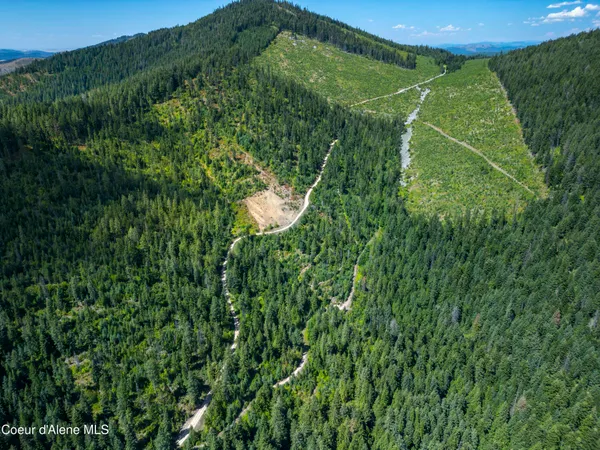 $236,580 | Nna Indian Creek Road, St. Maries, ID 83861