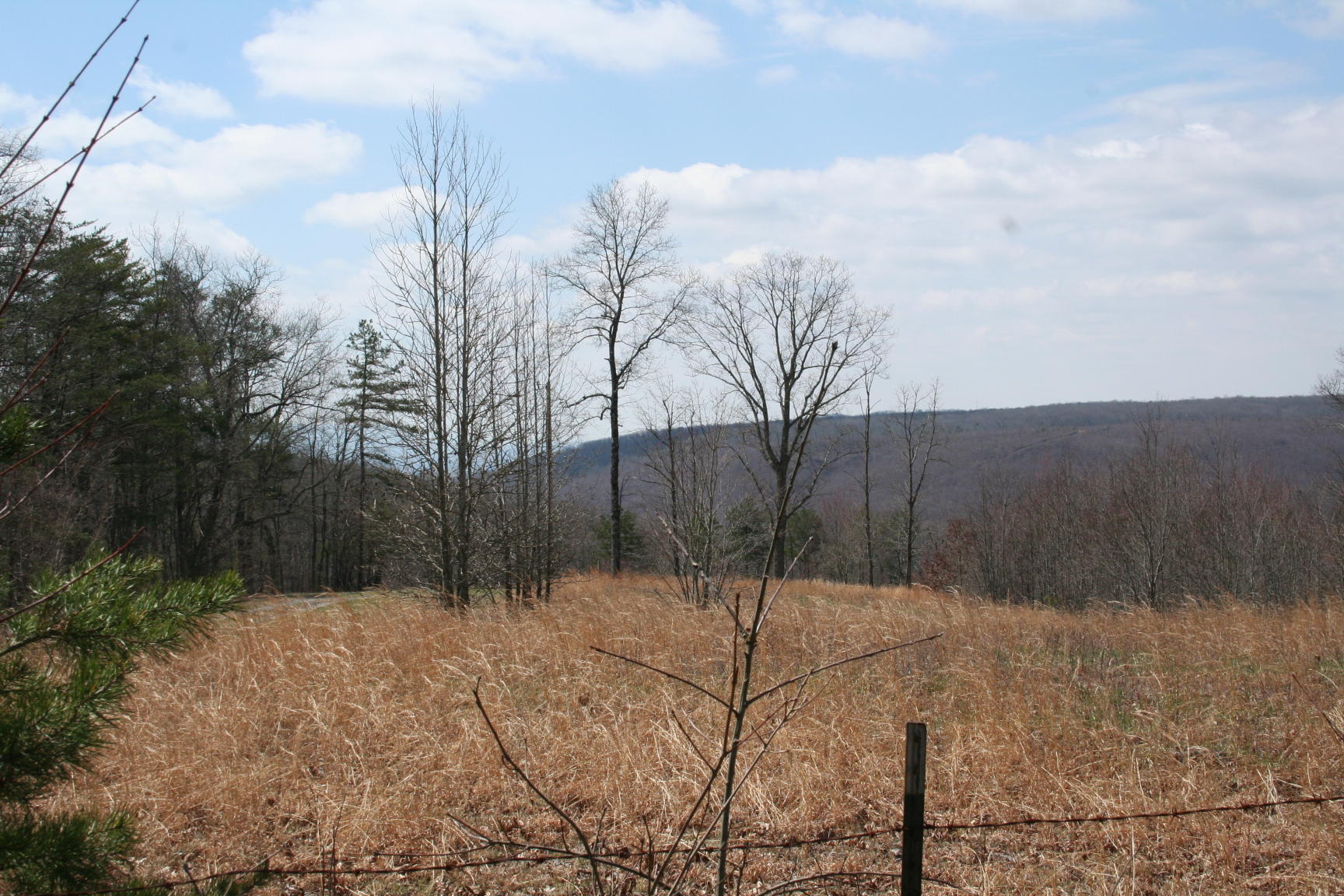 3554 A Valley View Road Crossville, TN 38572 - Photo 1 of 2 IMG_6392.JPG