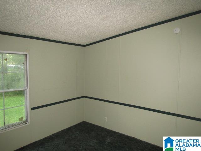 2986 Dry Creek Road Cropwell, AL 35054 - Photo 6 of 10