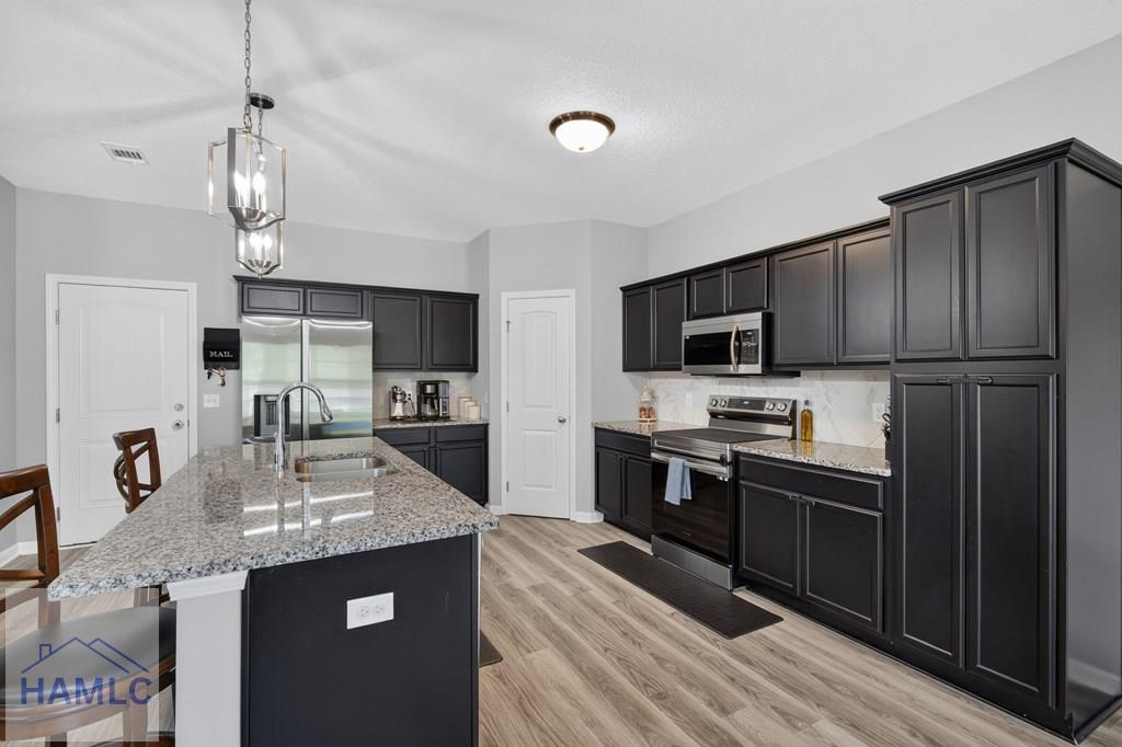 426 Akins Rnch Road Ludowici, GA 31316 - Photo 8 of 52 Gallery Image 8