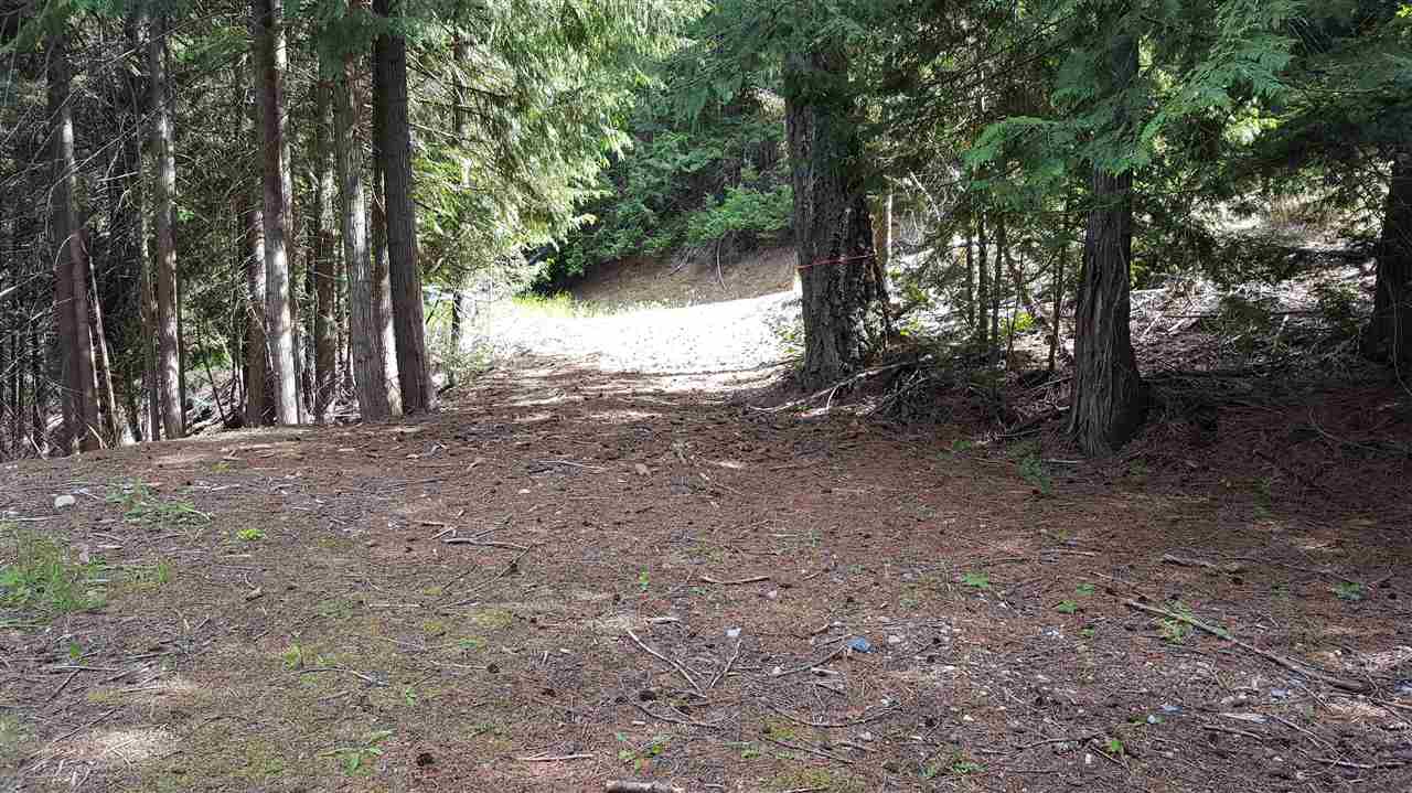 4144 Pebble Beach Road Loon Lake, WA 99148 - Photo 3 of 10 Gallery Image 3