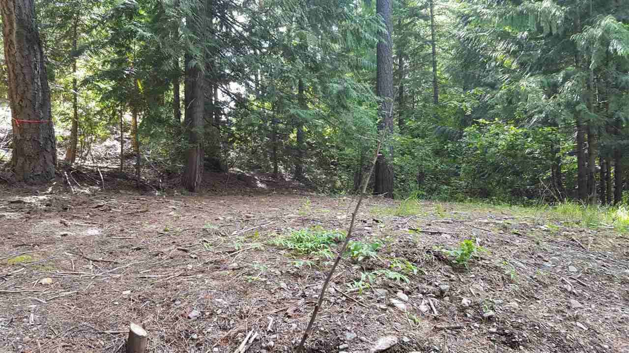 4144 Pebble Beach Road Loon Lake, WA 99148 - Photo 4 of 10 Gallery Image 4