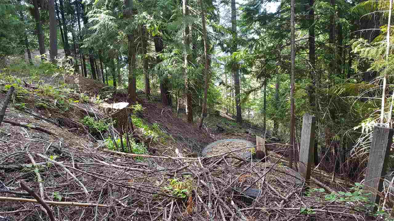 4144 Pebble Beach Road Loon Lake, WA 99148 - Photo 6 of 10 Gallery Image 6