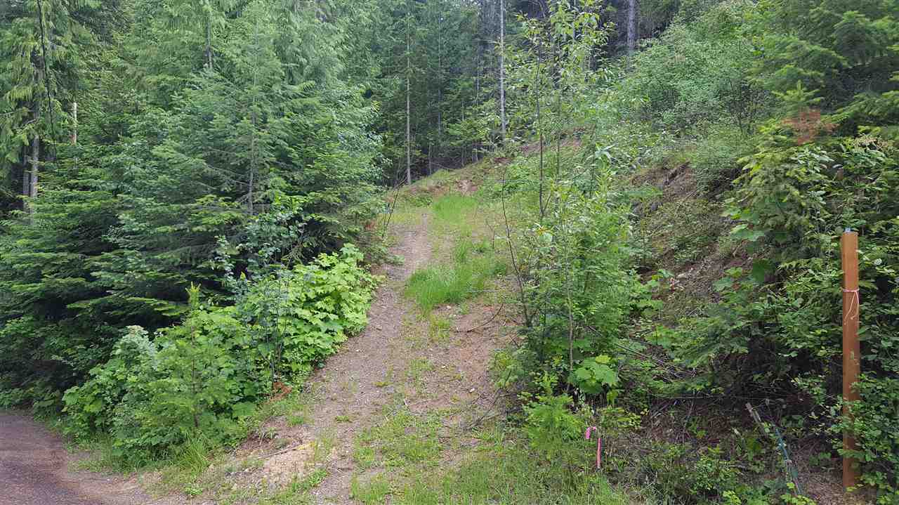4144 Pebble Beach Road Loon Lake, WA 99148 - Photo 8 of 10 Gallery Image 8