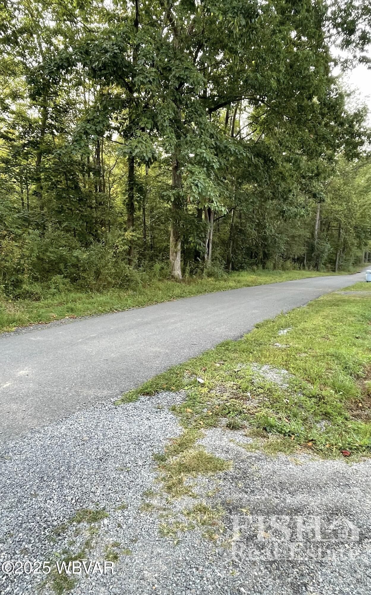 528 Ruben Kehrer Road, Unit 94 Muncy, PA 17756 - Photo 3 of 12 Wooded View