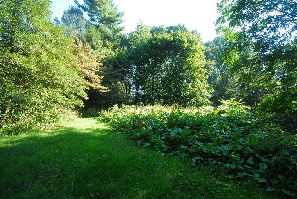150 Lincoln Road Lincoln, MA 01773 - Photo 18 of 25 a view of a garden