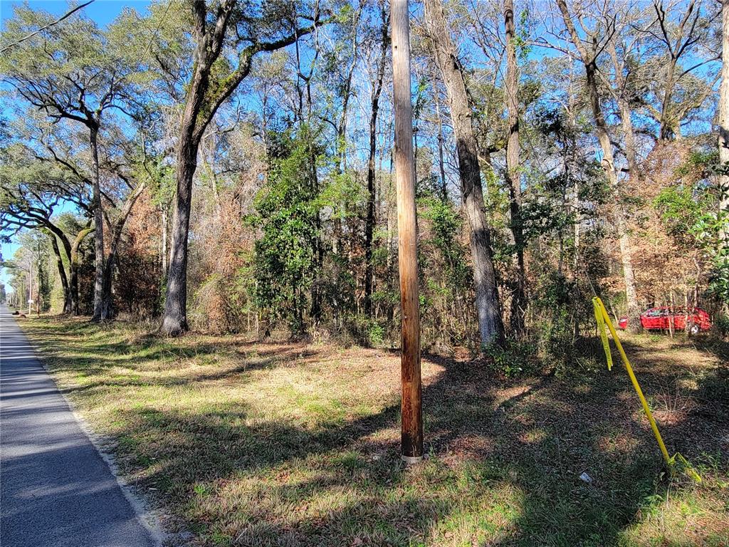 Southwest Newark Drive Fort White, FL 32038 - Photo 1 of 13 a view of a yard with plants