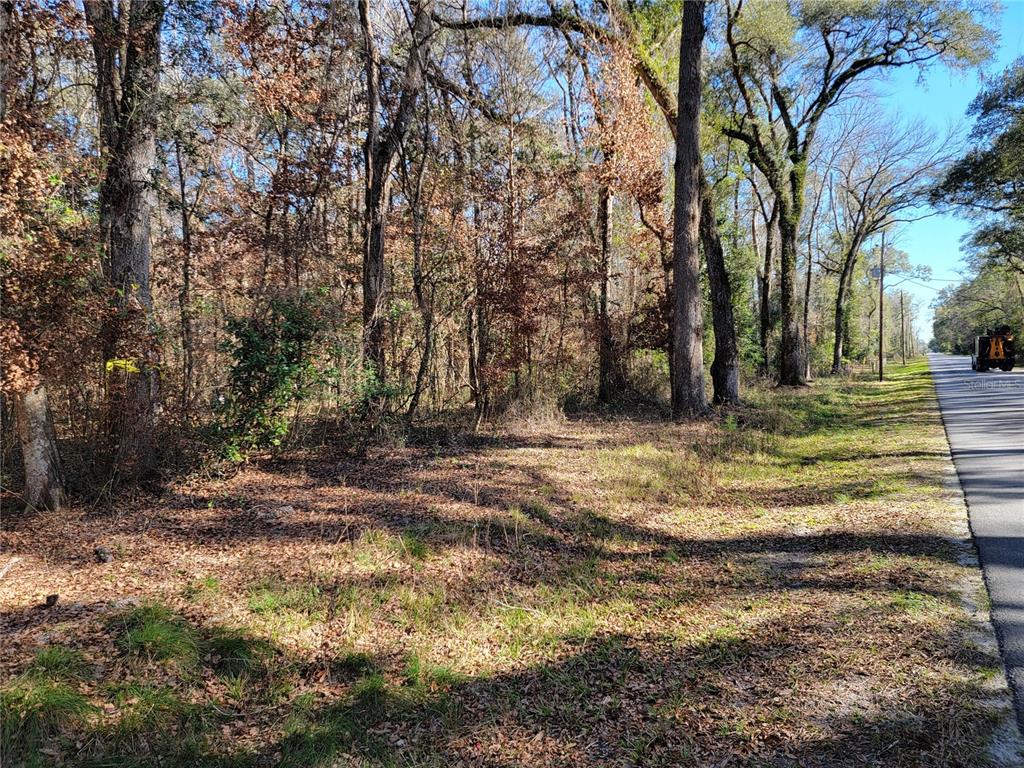 Southwest Newark Drive Fort White, FL 32038 - Photo 3 of 13 a view of backyard with green space
