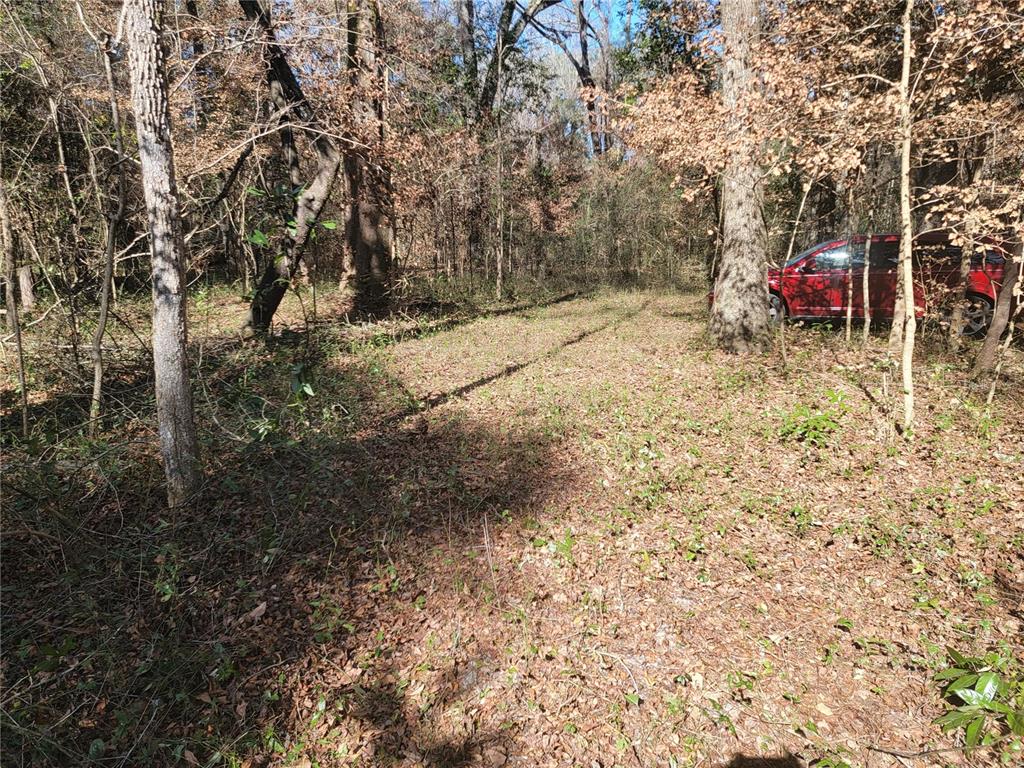Southwest Newark Drive Fort White, FL 32038 - Photo 7 of 13 a view of yard with wooden fence