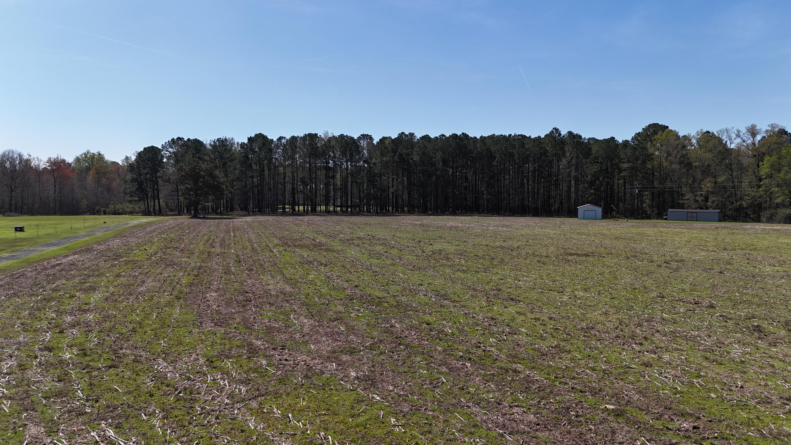 1995 Sam Nexsen Road Summerton, SC 29148 - Photo 42 of 110