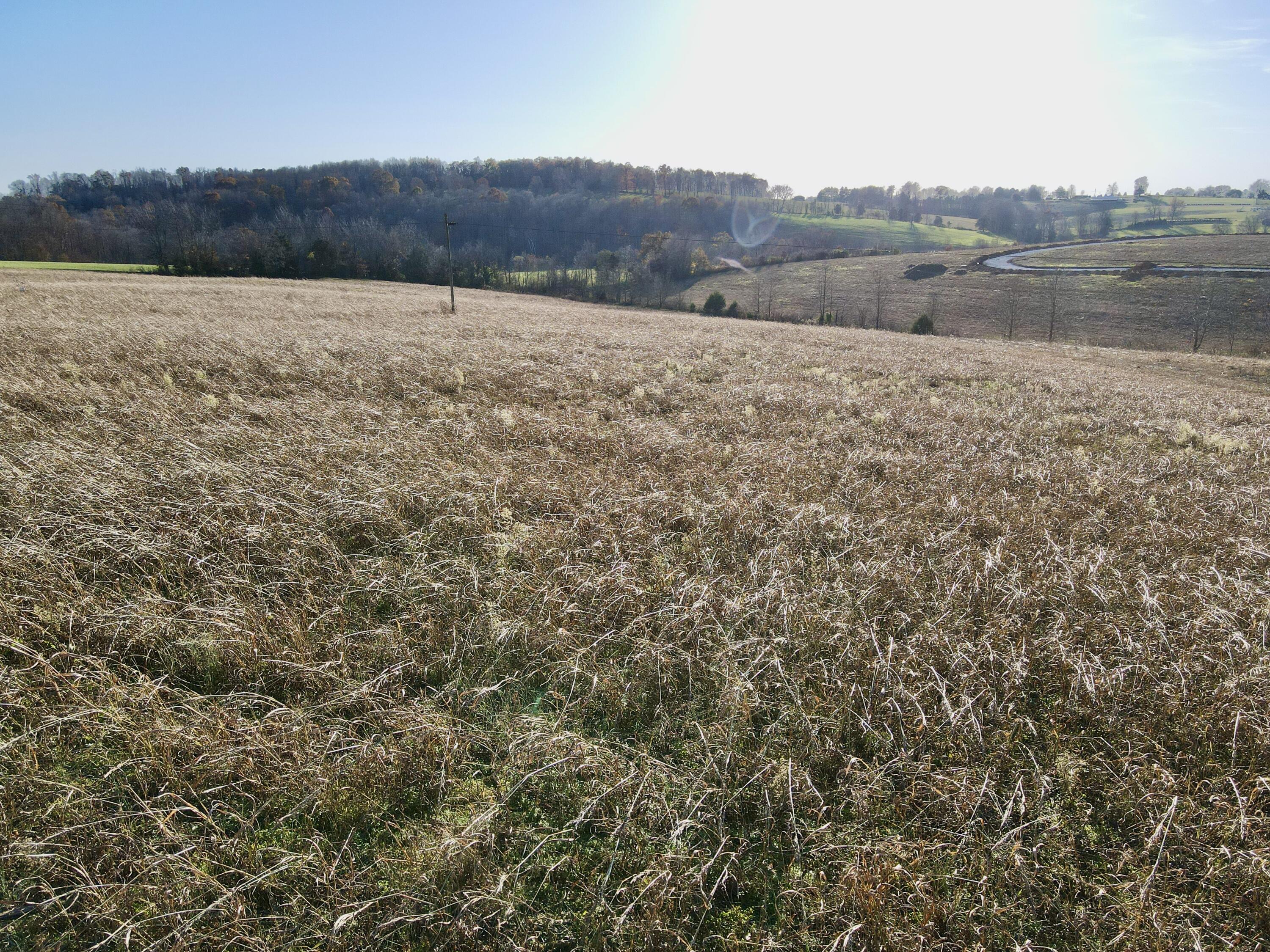 999 East Level Grn Road Mount Vernon, KY 40456 - Photo 4 of 13 DJI_0134