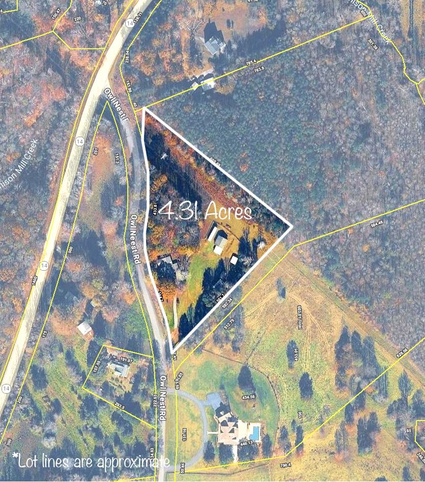 515 Owl Nest Road Landrum, SC 29356 - Photo 2 of 43
