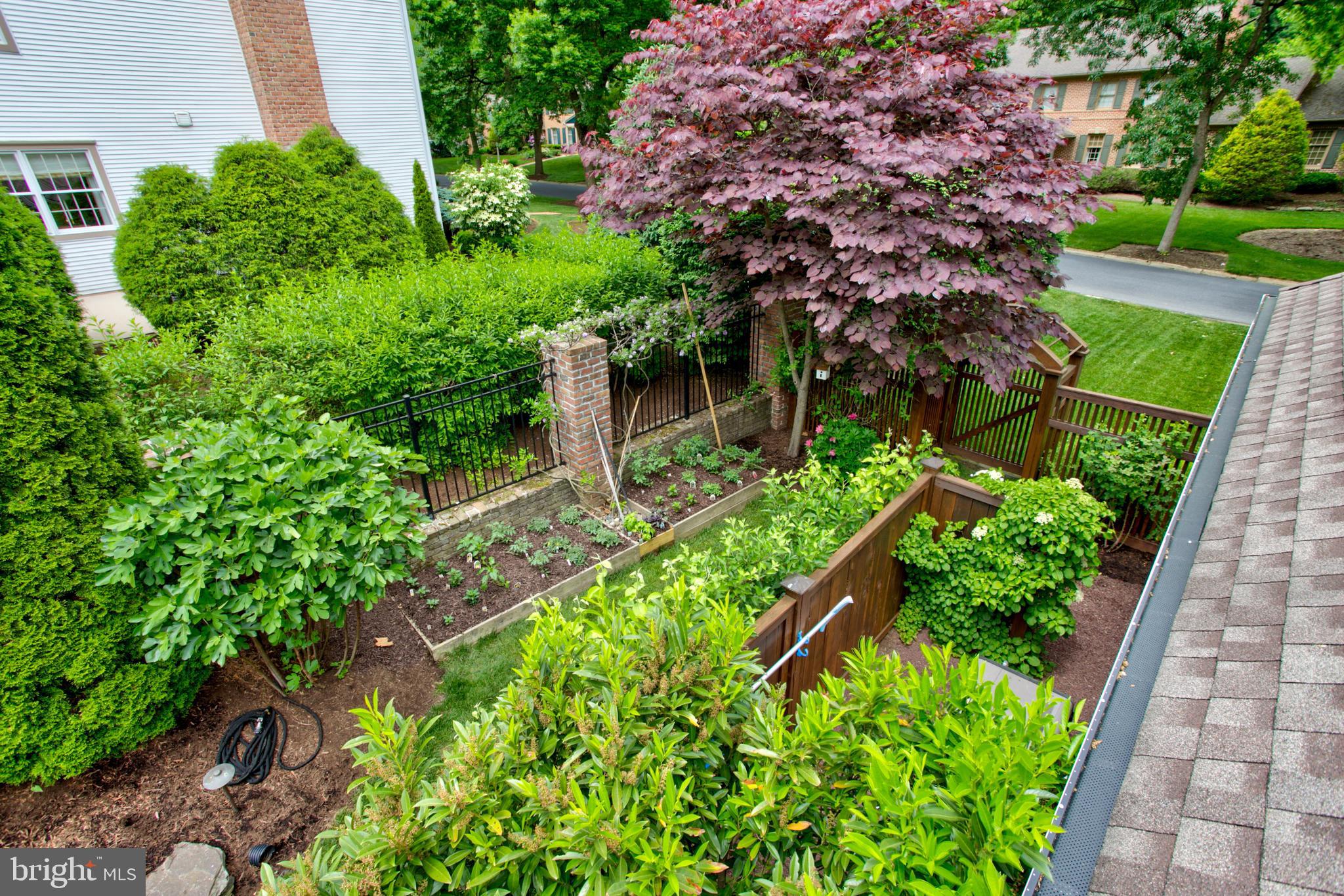 1626 Meadowlark Road Wyomissing, PA 19610 - Photo 20 of 123 Herb and tomato garden