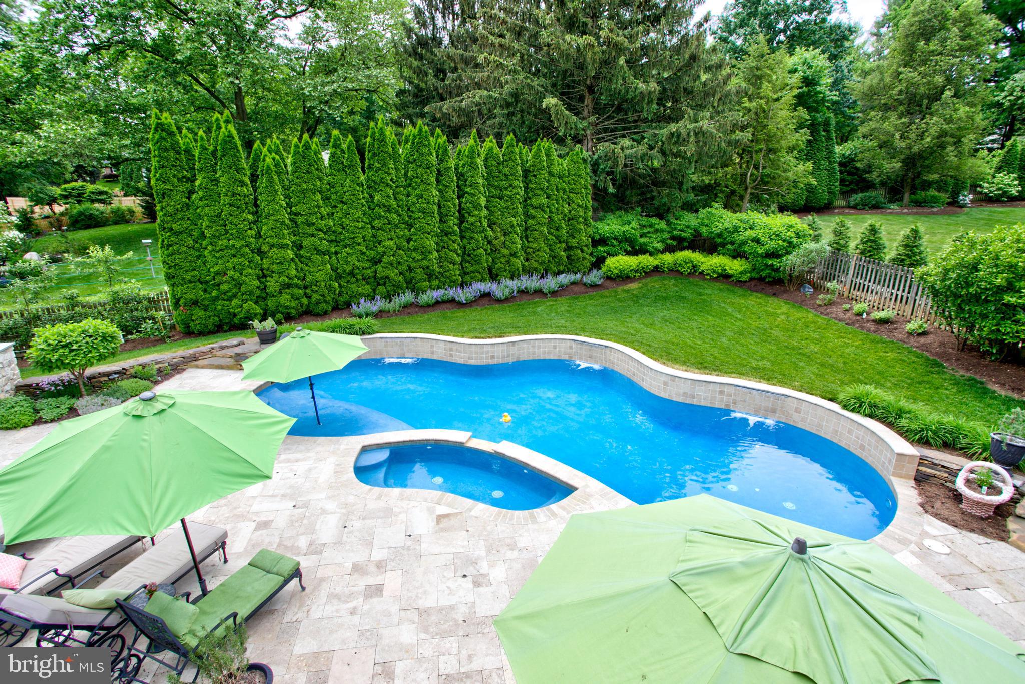 1626 Meadowlark Road Wyomissing, PA 19610 - Photo 21 of 123 Spa hot tub, pool, & luscious gardens