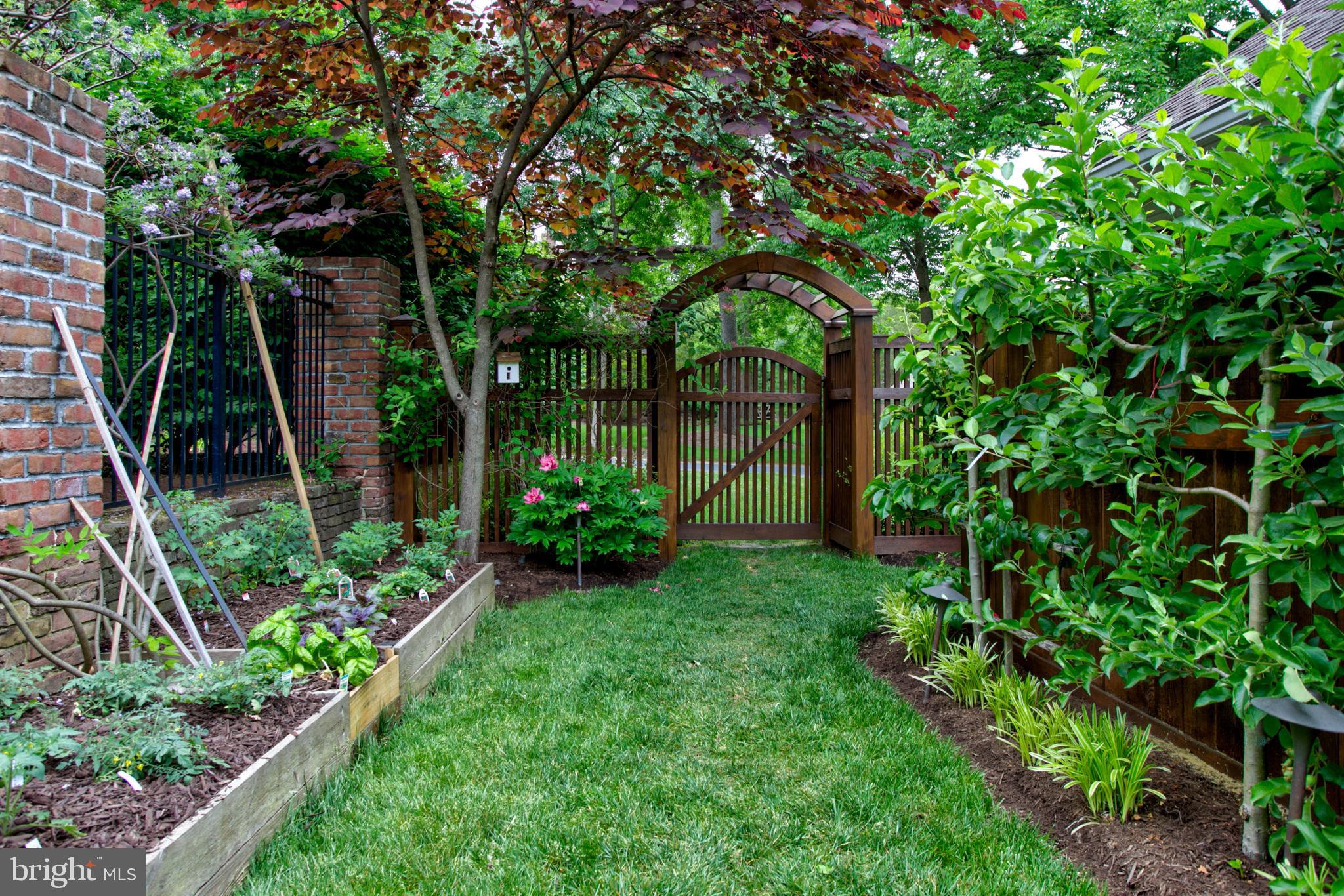 1626 Meadowlark Road Wyomissing, PA 19610 - Photo 6 of 123 Espaliered apple trees, herb & vegetable garden