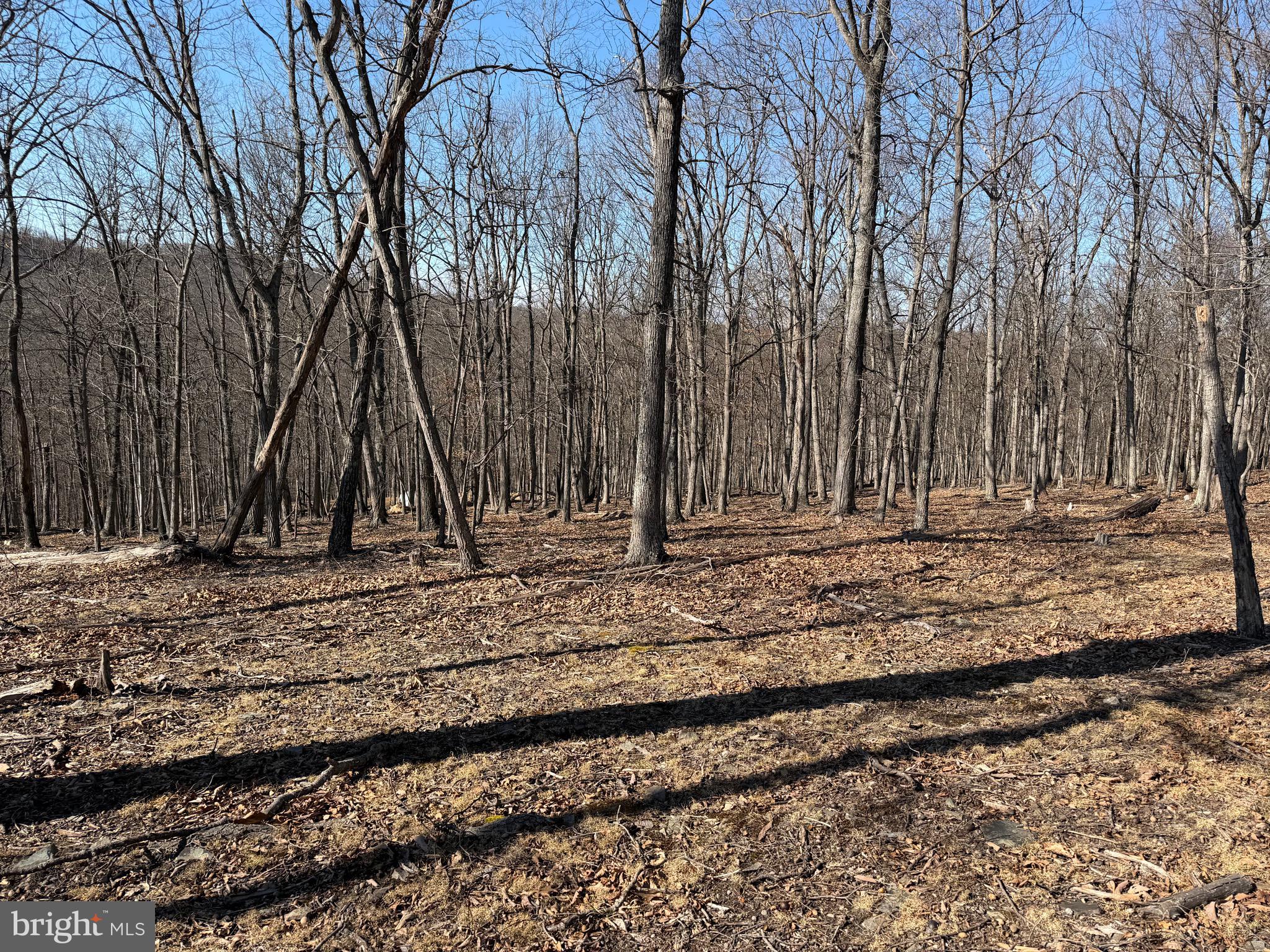 Goldsborough Road Springfield, WV 26763 - Photo 14 of 18