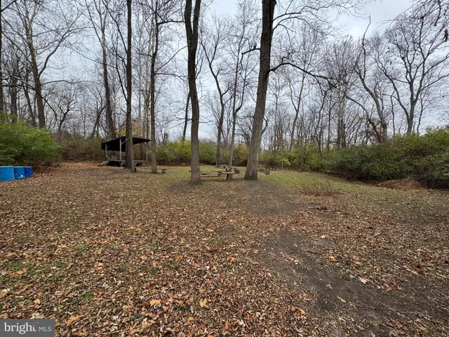 a backyard of apartments with large trees