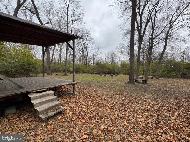 a view of a backyard with large trees