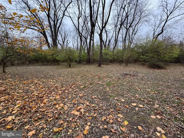 a view of a dry yard