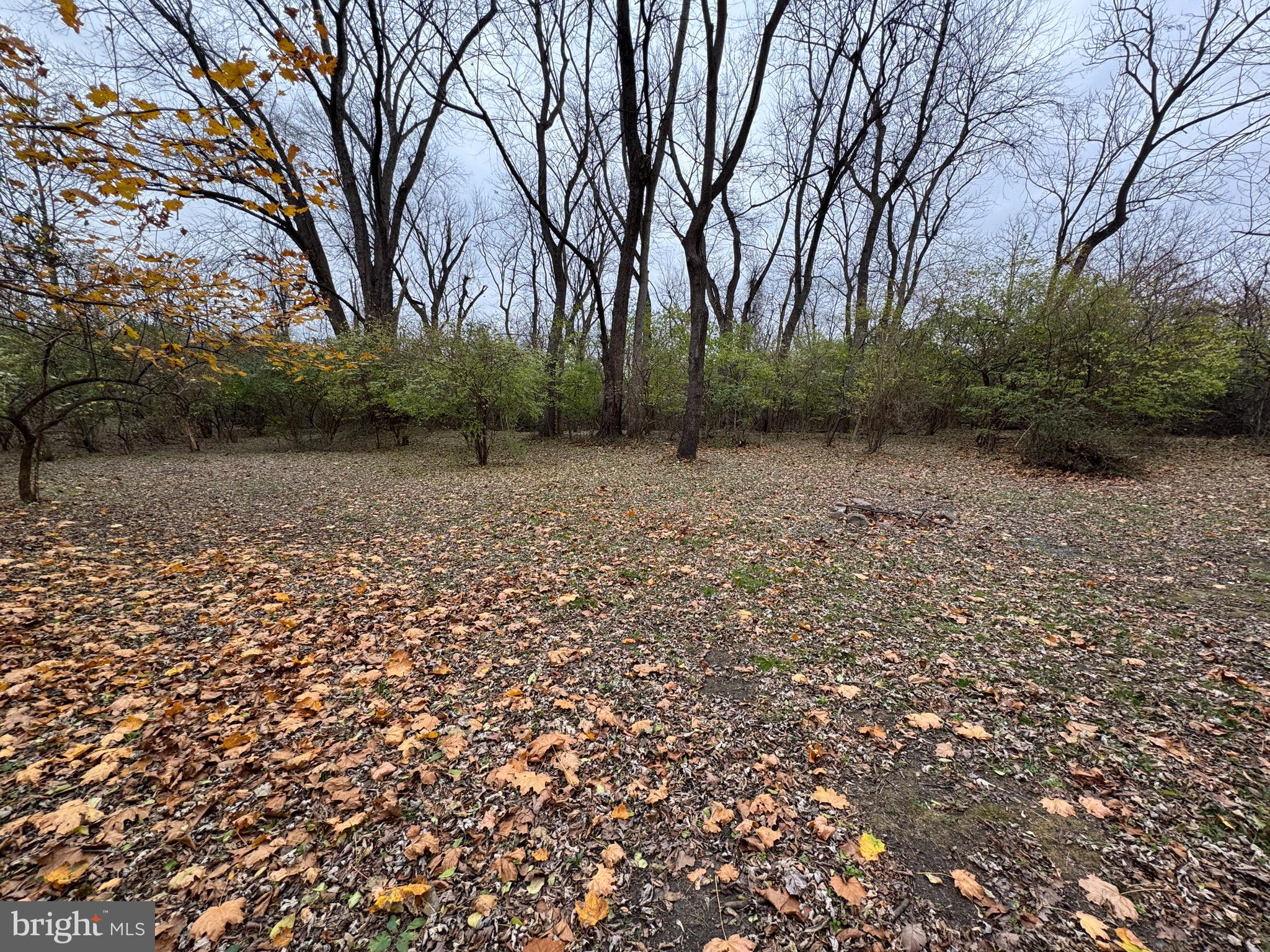131 North Main Street Douglassville, PA 19518 - Photo 18 of 29 a view of a yard with a tree