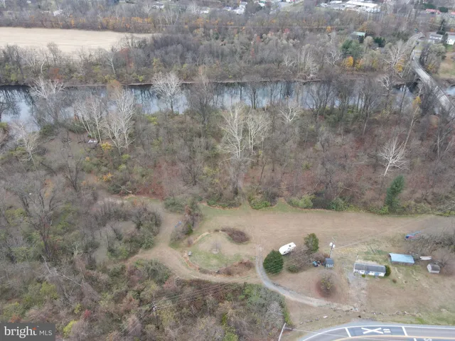 a view of a dry yard with trees
